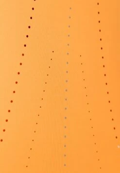 Born Living Yoga Race - Top - Naranja 8 Born Living Yoga Race - Top - Naranja -ZALANDO Ventas 4141df8742404f46b10691d2ad538d47