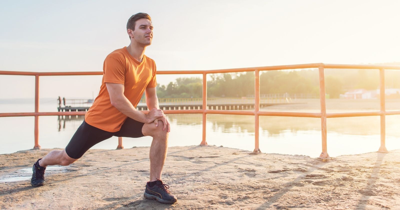 ZALANDO Ventas -ZALANDO Ventas a19